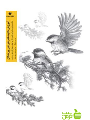 آموزش گام‌به‌گام طراحی پرندگان موری آسنگ یساولی