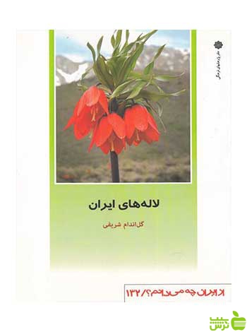 لاله های ایران گل اندام شریفی دفتر پژوهشهای فرهنگی